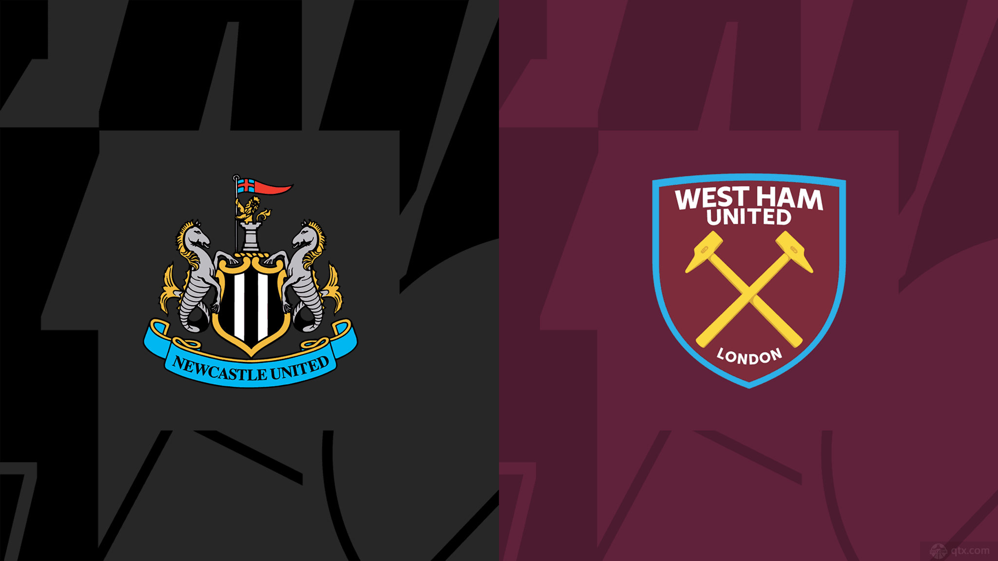 更是新希望 更是新希望